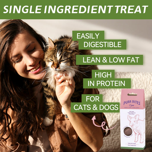 OPET Freeze Dried Pet Food, Freeze Dried Pork Sliced Fillet, 42g