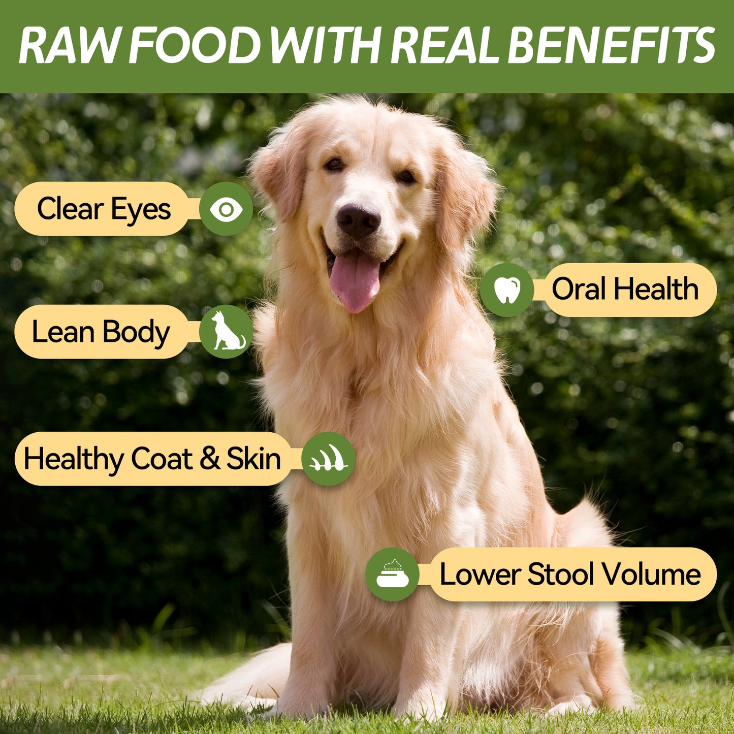OPET Freeze Dried Pet Food, Freeze Dried Chicken Breast Whole Fillet, 40g
