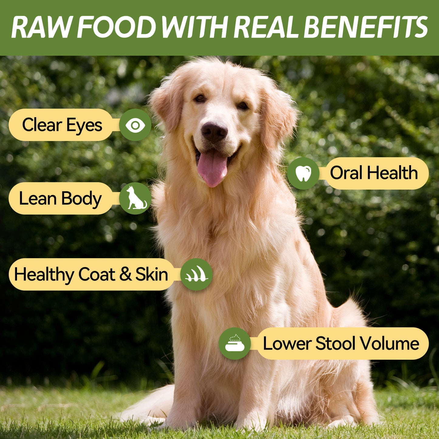 OPET Freeze Dried Pet Food, Freeze Dried Chicken Cubes, 50g