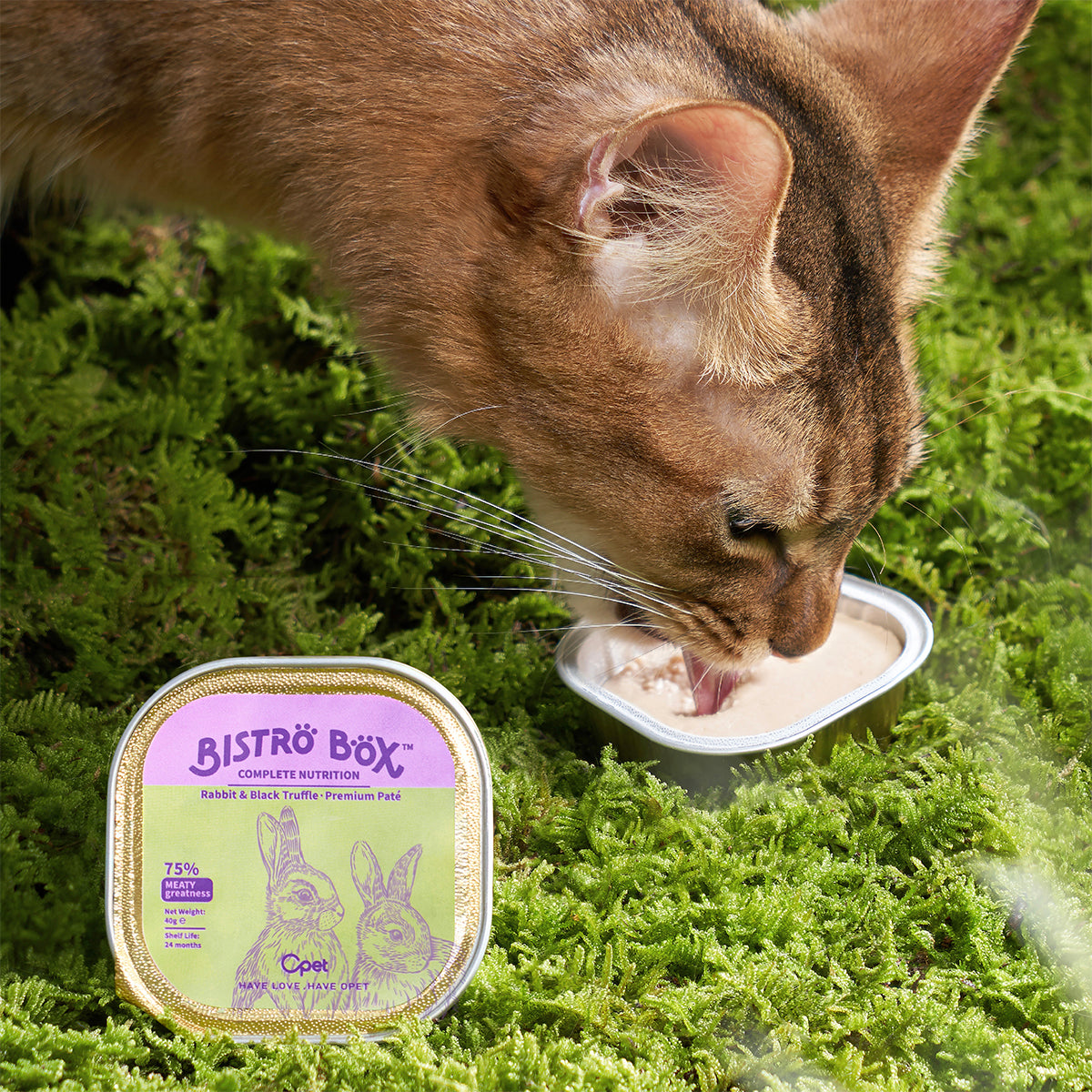 OPET Premium Pate & Smooth Mousse Bistro Box for Cats 40g*4