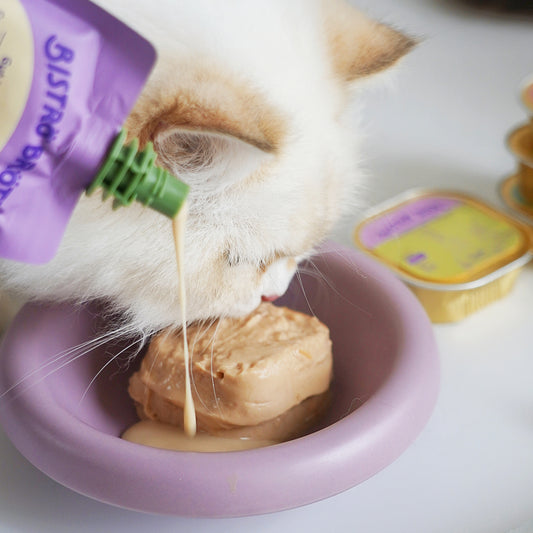 OPET Wet Cat Food Pate Bistro Box Serial Mixed 6 Flavors