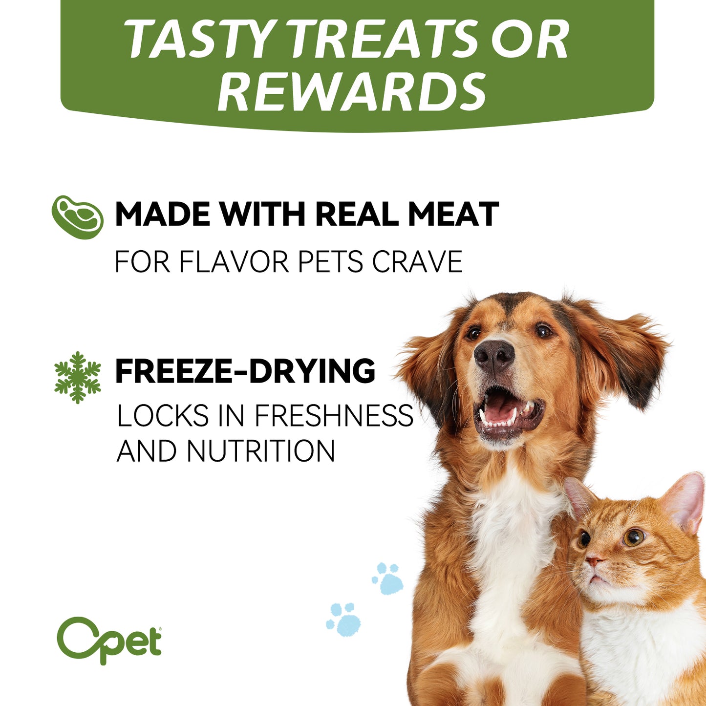 OPET Freeze Dried Pet Food, Freeze Dried Salmon, 40g