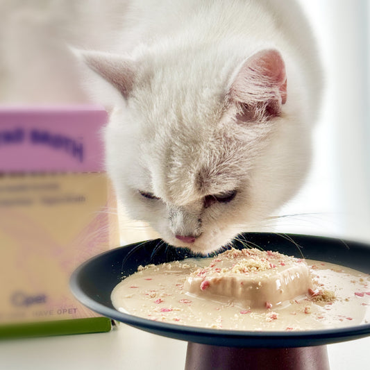 OPET Premium Pate & Smooth Mousse Bistro Box for Cats 40g*4