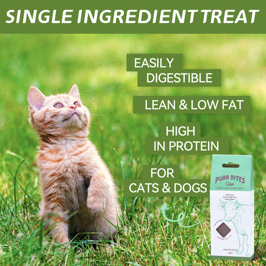 OPET Freeze Dried Pet Food, Freeze Dried Beef Sliced Fillet, 28g
