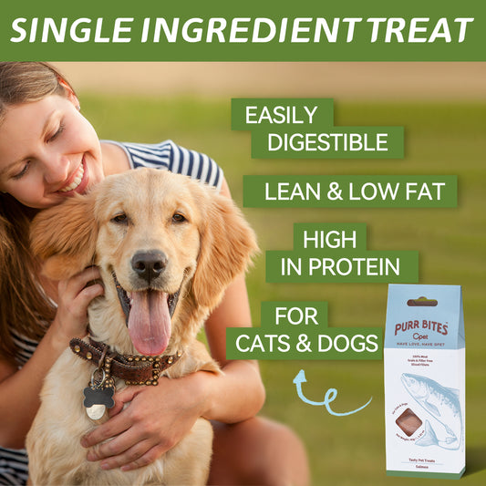 OPET Freeze Dried Pet Food, Freeze Dried Salmon, 40g