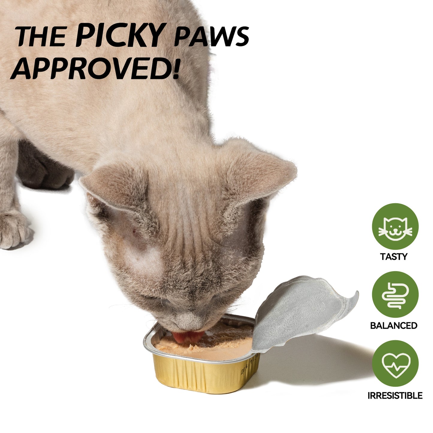 OPET Premium Pate & Smooth Mousse Bistro Box for Cats 40g*4