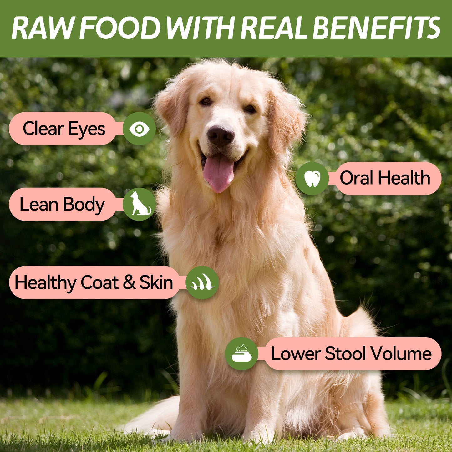 OPET Freeze Dried Pet Food, Freeze Dried Shrimp, 12g