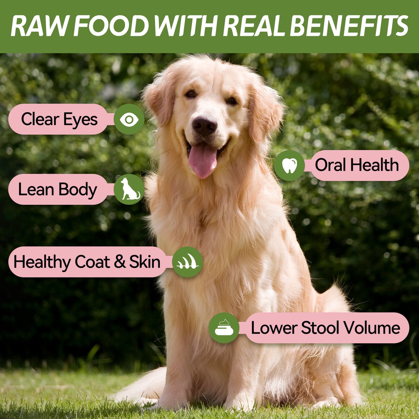 OPET Freeze Dried Pet Food, Freeze Dried Pork Sliced Fillet, 42g