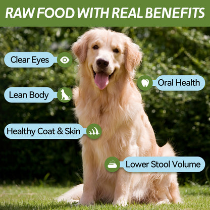 OPET Freeze Dried Pet Food, Freeze Dried Salmon, 40g