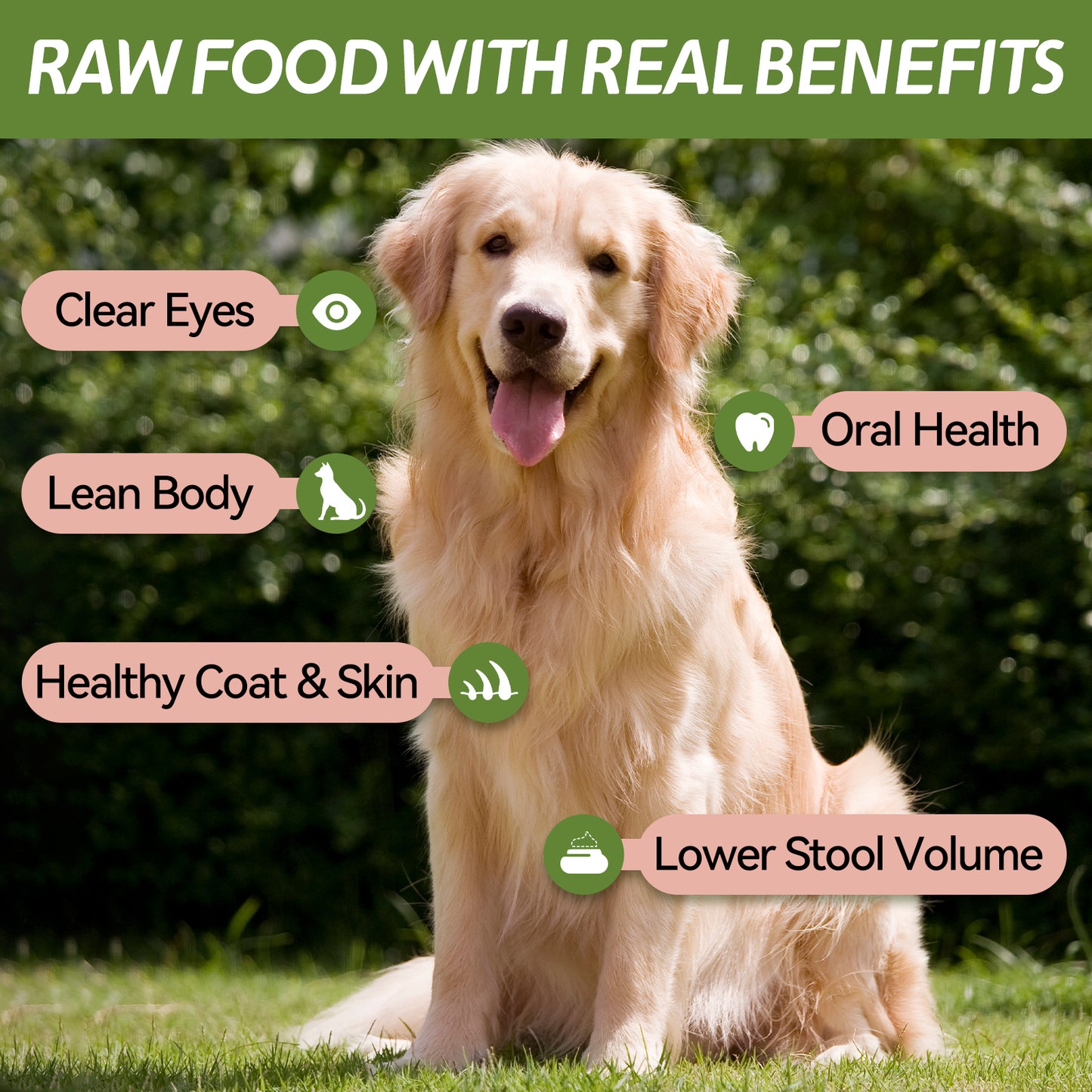 OPET Freeze Dried Pet Food, Freeze Dried Chicken Neck, 40g
